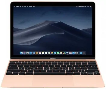 Замена динамиков MacBook 12' в Воронеже